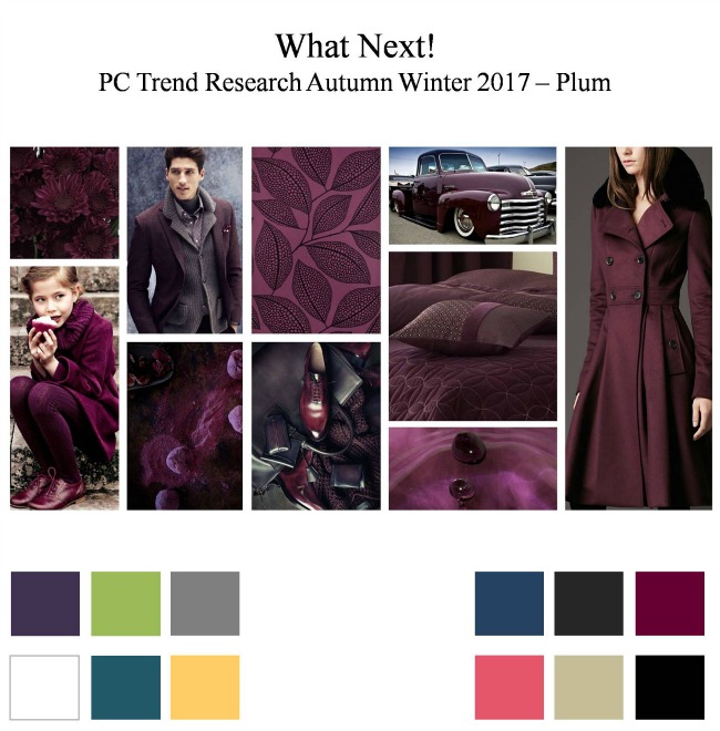 fashion trend researcher priya chander