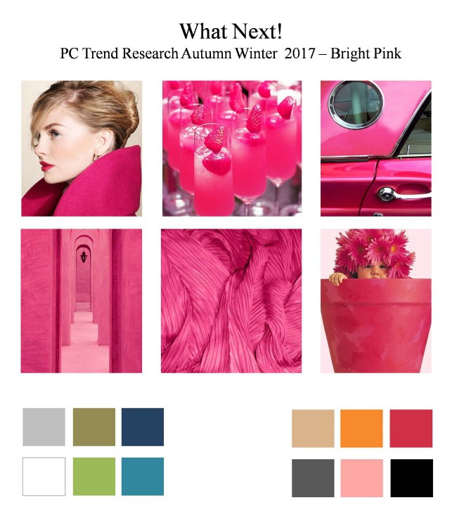 fashion trend researcher priya chander