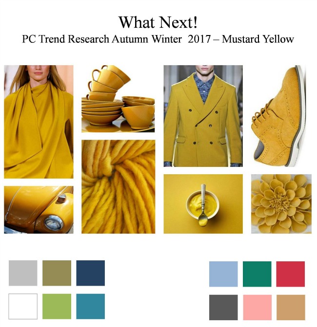 fashion trend researcher priya chander